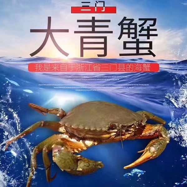 【正宗三门青蟹】现货 2018年第1波【野生梭子蟹预定中】 价格优惠